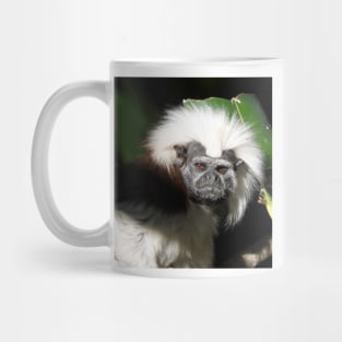 Cotton-top Tamarin Mug